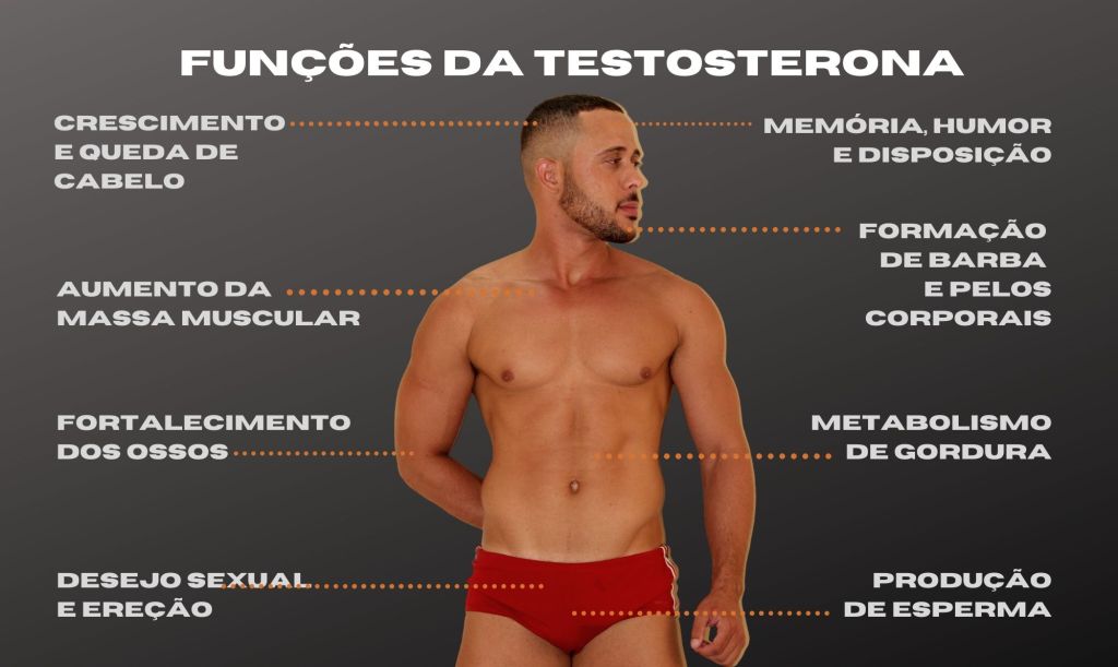 Homem No Espelho-funções-da-testosterona-hormônio-masculino