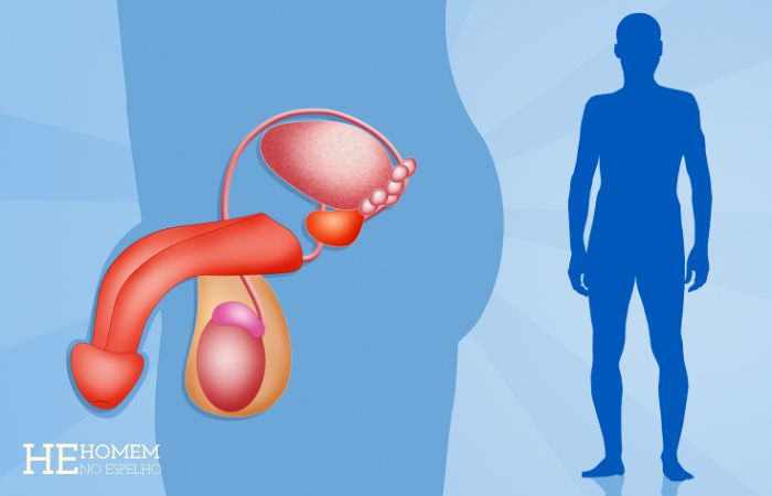 Homem No Espelho - Próstata: para quê serve esse importante órgão masculino
