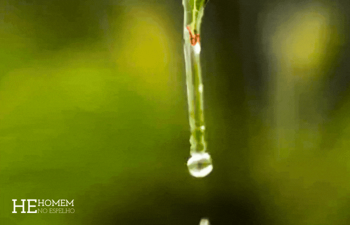 Homem No Espelho - Como funciona o corpo do homem durante o sexo