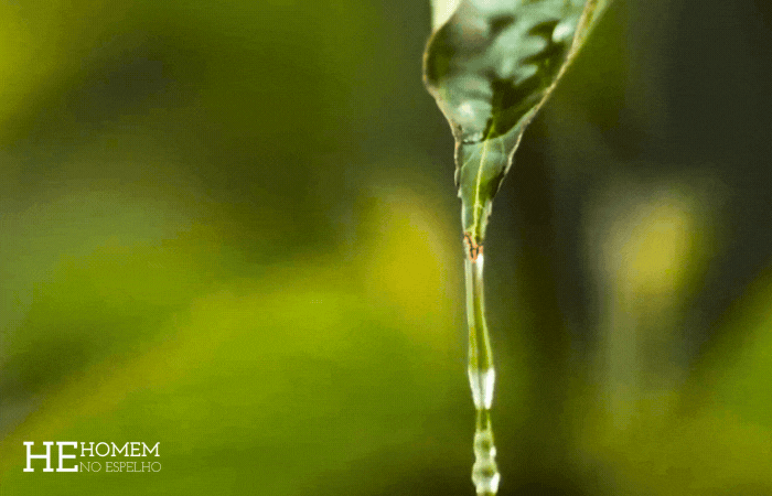 Homem No Espelho - Você conhece bem seu pênis